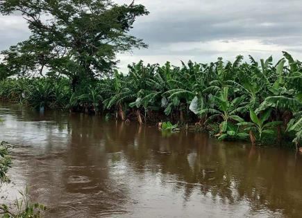 Agricultores de Chiapas piden declaratoria de desastre tras inundaciones