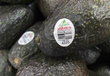 SRE garantiza seguridad y certeza tras acuerdo de exportaci&oacute;n de aguacate a EU