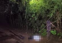 Ultiman a empresario restaurantero de Huichihuay&aacute;n