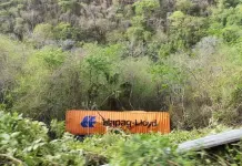 Se desprende remolque de tr&aacute;iler y la caja se va a un barranco