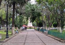 Tras lluvias, regresa el verde al Centro Histórico