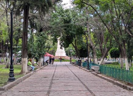 Tras lluvias, regresa el verde al Centro Histórico