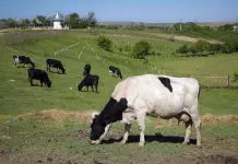 Dinamarca Gravará a Ganaderos por Emisiones de Efecto Invernadero Dinamarca Gravará a Ganaderos por Emisiones de Efecto Invernadero
