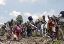 Informe detallado sobre la crisis humanitaria en Congo