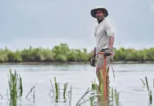 Explorando el Mundo Submarino con Anthony Mackie Explorando el Mundo Submarino con Anthony Mackie