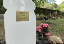 Marcha silenciosa en Francia por joven asesinado