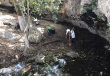 Semarnat y Guardián Forestal: Protección de recursos naturales