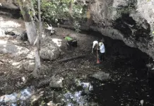 Semarnat y Guardián Forestal: Protección de recursos naturales