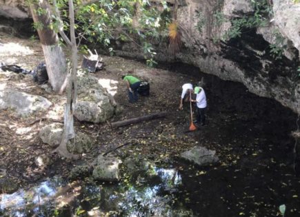 Impacto de la contaminación del agua en Yucatán