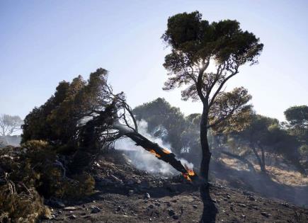Bomberos luchan contra incendios en islas griegas de Chios y Cos
