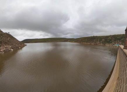 Vientos alejaron lirio de presa San José: especialista