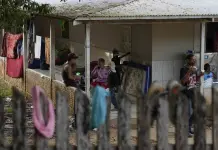 Impacto de las nuevas normas de asilo en migrantes en Brasil Impacto de las nuevas normas de asilo en migrantes en Brasil