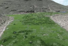 Video confirma desplazamiento de lirio acu&aacute;tico en la presa San Jos&eacute;