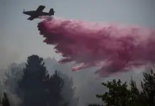 Impacto devastador de los incendios en la frontera de L&iacute;bano e Israel