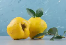 ¿Cómo ayuda el dulce de membrillo a la salud? ¿Cómo ayuda el dulce de membrillo a la salud?