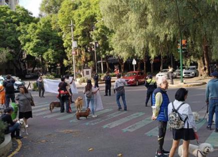 Parque Canino Gandhi II en Polanco reabre tras controversia vecinal