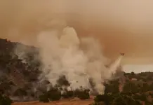 Impacto de la Ola de Calor en EEUU
