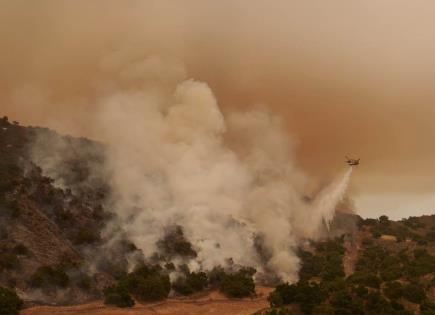Impacto de la Ola de Calor en EEUU