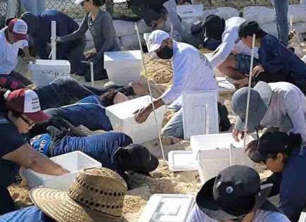 Tortugas, también con saldo blanco