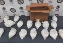 Detenci&oacute;n de adulto y menor con metanfetamina en Escobedo