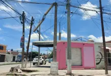 En 2024, hasta 80 postes ca&iacute;dos en Soledad: PC