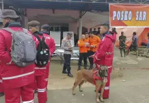 Tragedia por deslave en mina ilegal de Indonesia Tragedia por deslave en mina ilegal de Indonesia