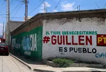 Del Verde, la mayoría de la basura electoral Del Verde, la mayoría de la basura electoral