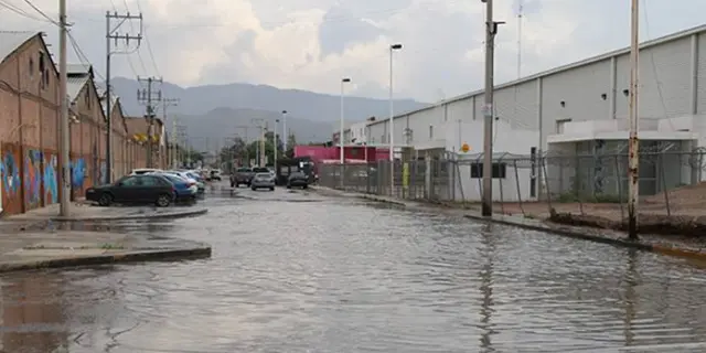 Foto: Pulso