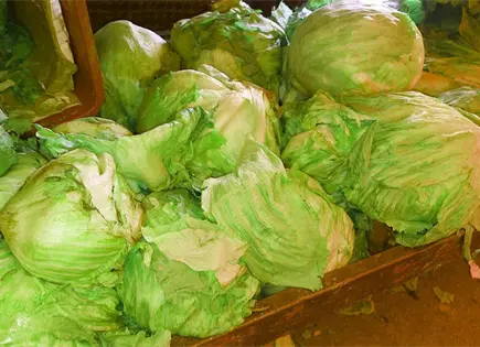 Para qu&eacute; sirve ponerle vinagre de manzana a la lechuga