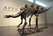 Subasta del f&oacute;sil de stegosaurio en Sothebys