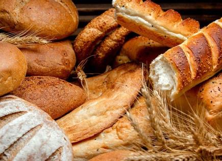 Recomendaciones de consumo de pan según Harvard y la OMS
