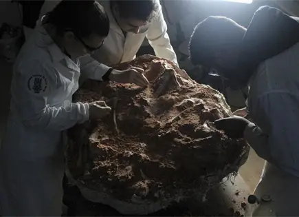 Descubierto f&oacute;sil que ayuda a entender la adaptaci&oacute;n del cerebro al vuelo