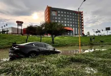 Fotogaler&iacute;a | Irresponsable conductor ignora se&ntilde;al&eacute;tica, se inunda, abandona veh&iacute;culo y huye