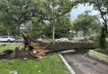 Impacto de las tormentas y tornados en Chicago