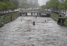 Alerta por Minas Norcoreanas en la Frontera de Corea del Sur