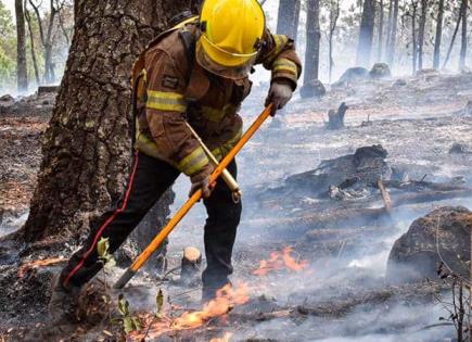 Contienen bomberos un fuego forestal en Kauai