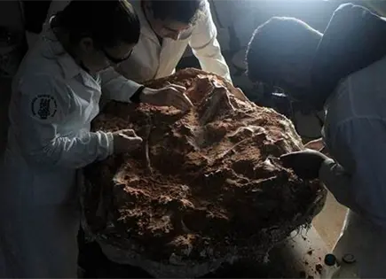 Identifican un nuevo dinosaurio a partir de un fósil Identifican un nuevo dinosaurio a partir de un fósil