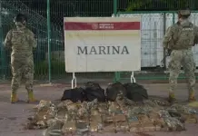 Decomiso de droga en buque CMA CGM DIGNITY Decomiso de droga en buque CMA CGM DIGNITY