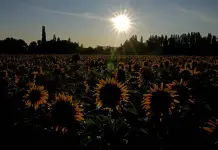 Espa&ntilde;a y el Sur de Europa bajo el Impacto de una Ola de Calor