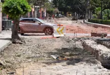 Se procura la conservaci&oacute;n de &aacute;rboles en todos los proyectos, asegura el Ayuntamiento