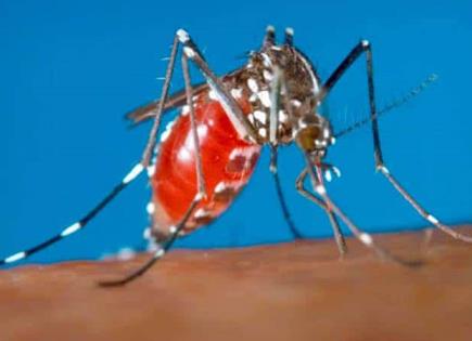 Alerta sanitaria en Morelos: Dengue y Covid-19