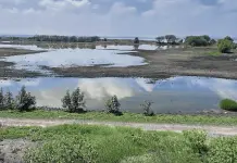 Auge turístico en la Laguna de Zumpango
