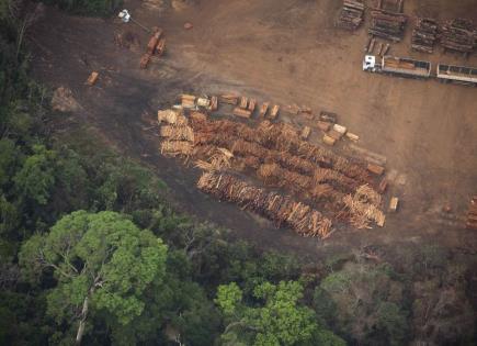 Plan de Brasil para conservar la Amazonía mediante tala selectiva
