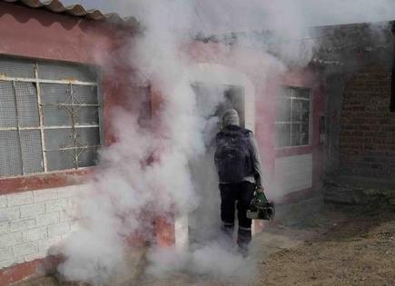 Van 23 mil casos de dengue en México