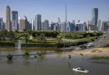 Crisis del Dengue en los Emiratos &Aacute;rabes Unidos