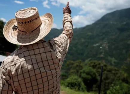 Desesperante Situación en Chiapas por Acciones de Grupos Criminales