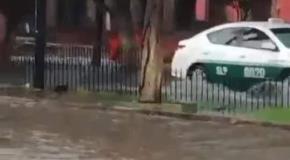Taxista circula por camellón peatonal para evitar Avenida Juárez inundada