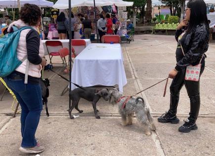 Realizan en Soledad el primer "Dog Fest"