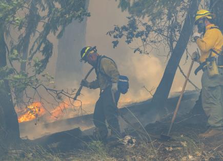 Evacuación por Incendios en California: Medidas de Prevención y Protección