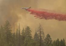 Avances y desafíos en la lucha contra los incendios forestales en California y EEUU